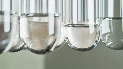 UPM position paper: Leveraging the bioeconomy as a growth engine for European sustainable prosperity and competitiveness