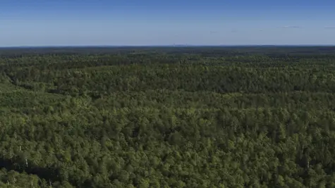 Mitigating climate risks and seizing opportunities 